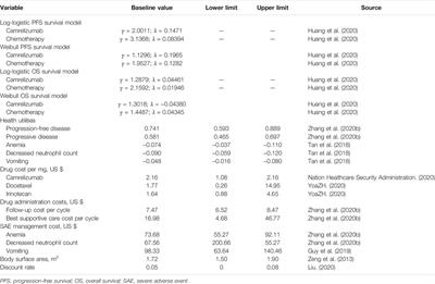 Cost-Effectiveness Analysis of Camrelizumab Versus Chemotherapy as Second-Line Treatment of Advanced or Metastatic Esophageal Squamous Cell Carcinoma